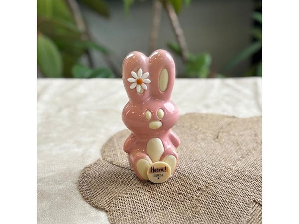Geboorte bunny rose