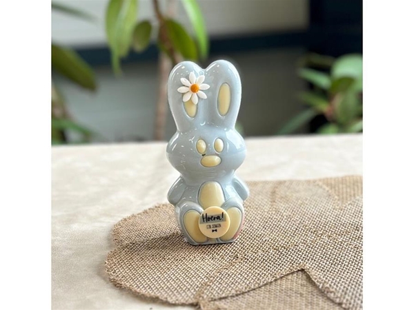 Geboorte bunny blauw